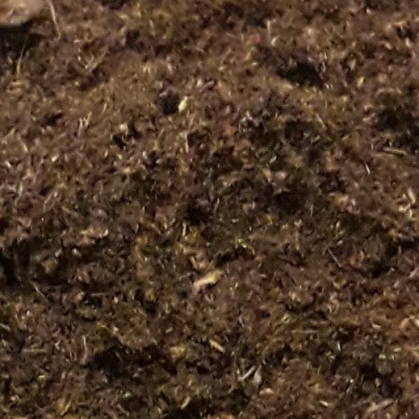 substrat klasmann KTS2